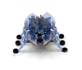 Hexbug Logo